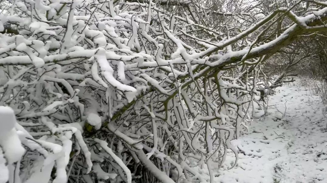 Snow