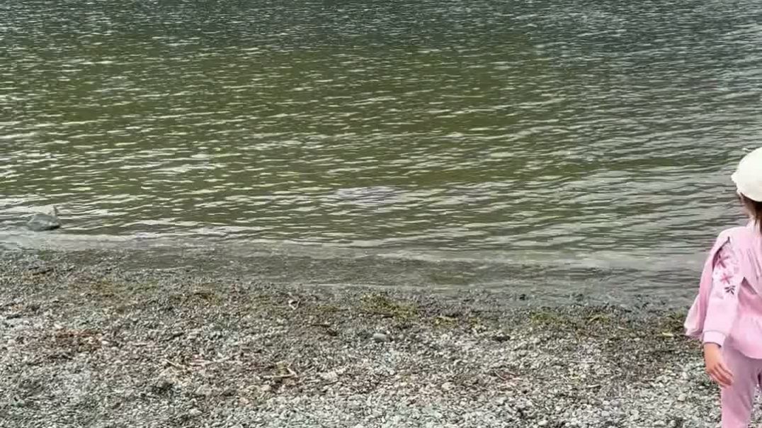 Glenridding Pier House, vid.. for sale