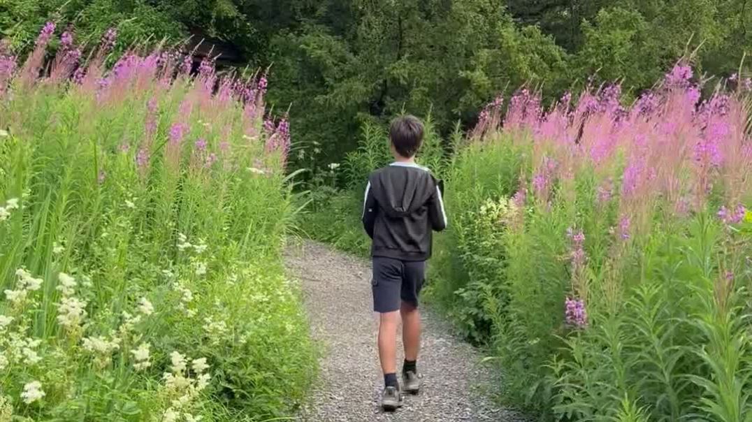 ⁣Flowering footpaths