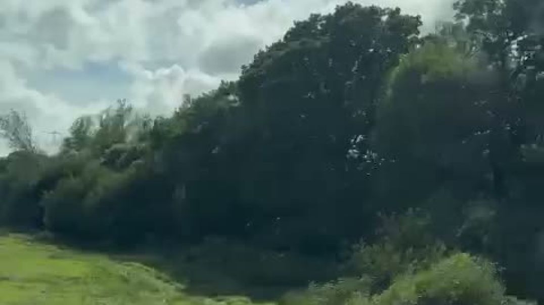 WhatsApp Video 2025-07-23 at 22