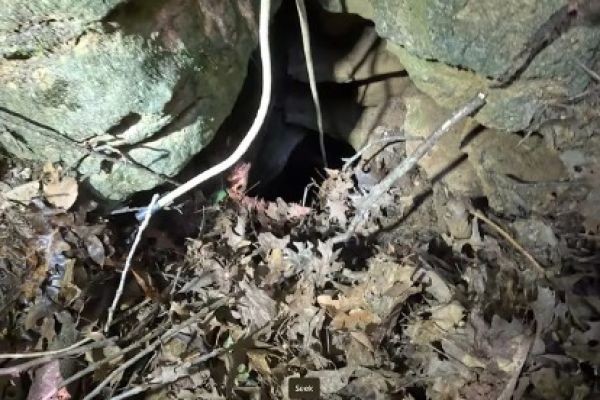 200ft Deep Sinkhole Behind 911 Center With Bones At The Bottom