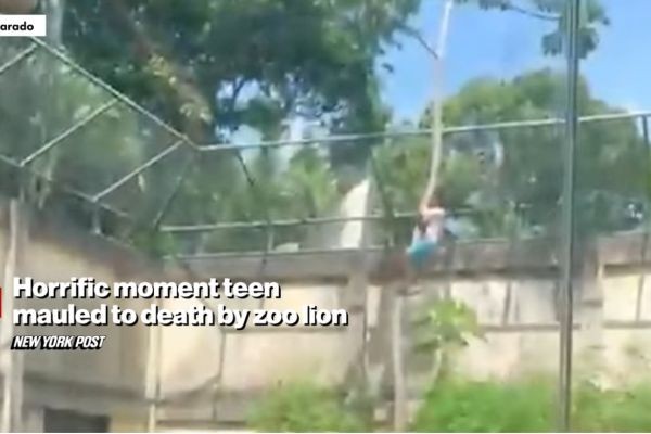 Horrific Moment Teen Mauled to Death by Zoo Lion
