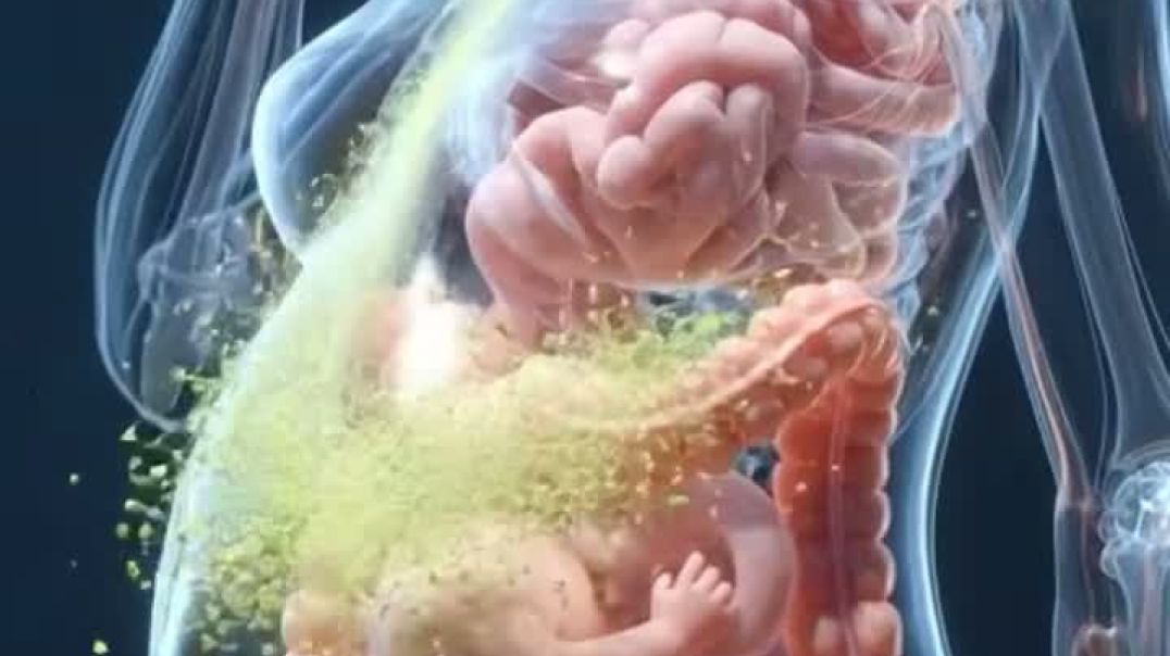 7d788d5ef81a43f686c773f0d15f48da