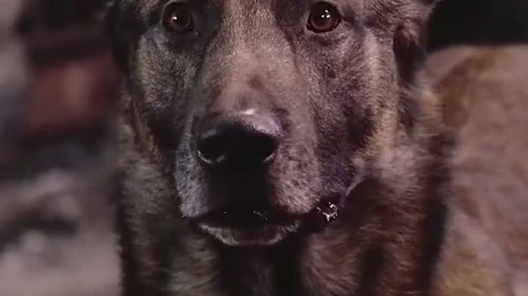 ⁣Movie to watch 2026